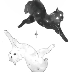 BWSpace