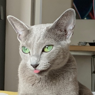serna5000